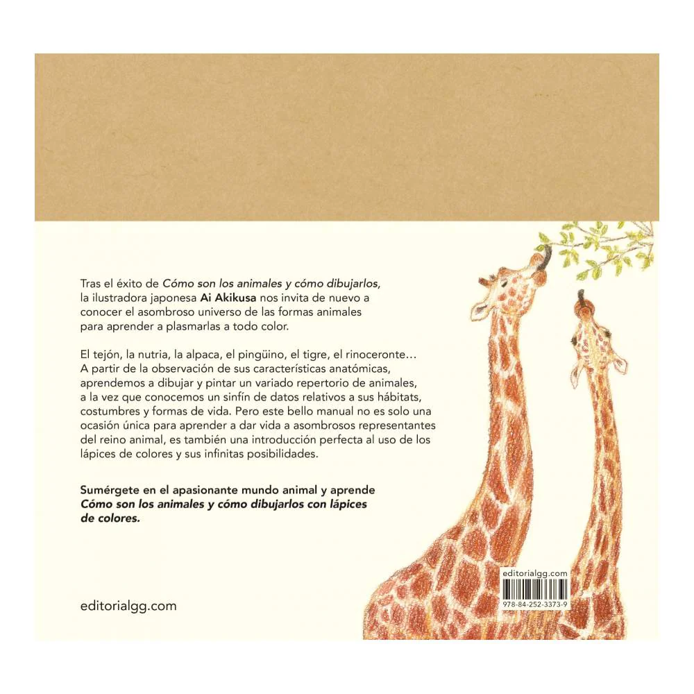 Imagen del producto 6