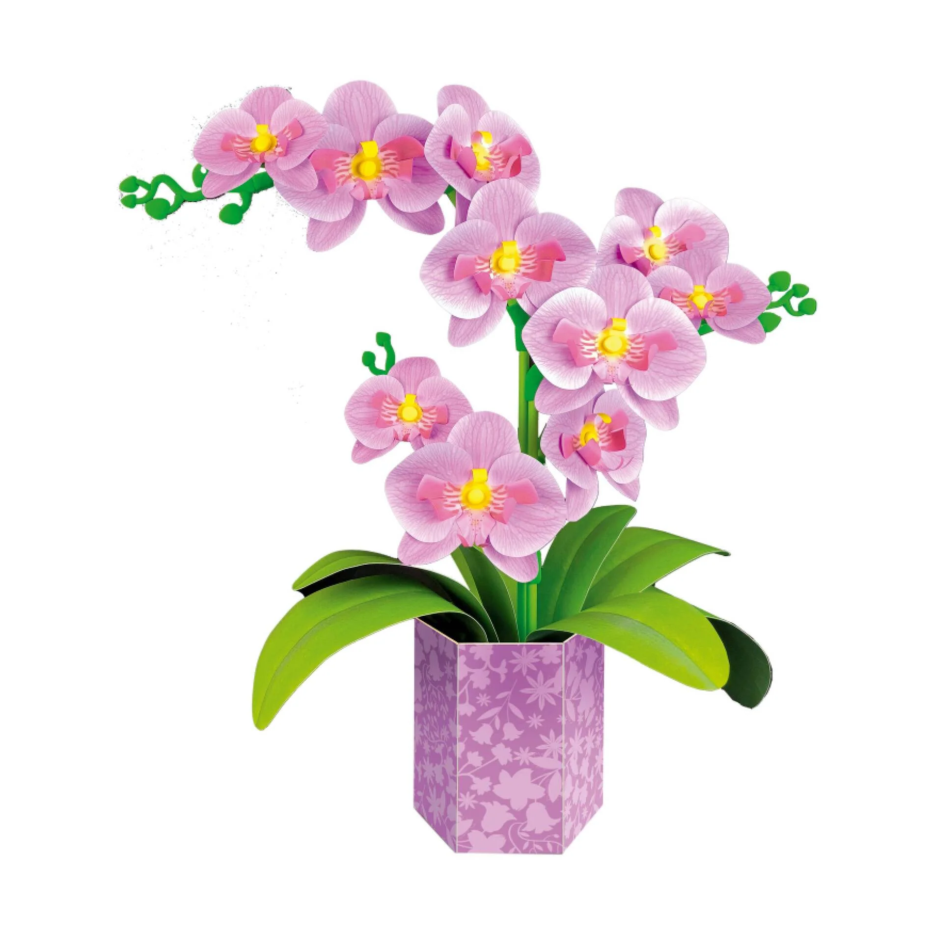 Imagen del producto 4